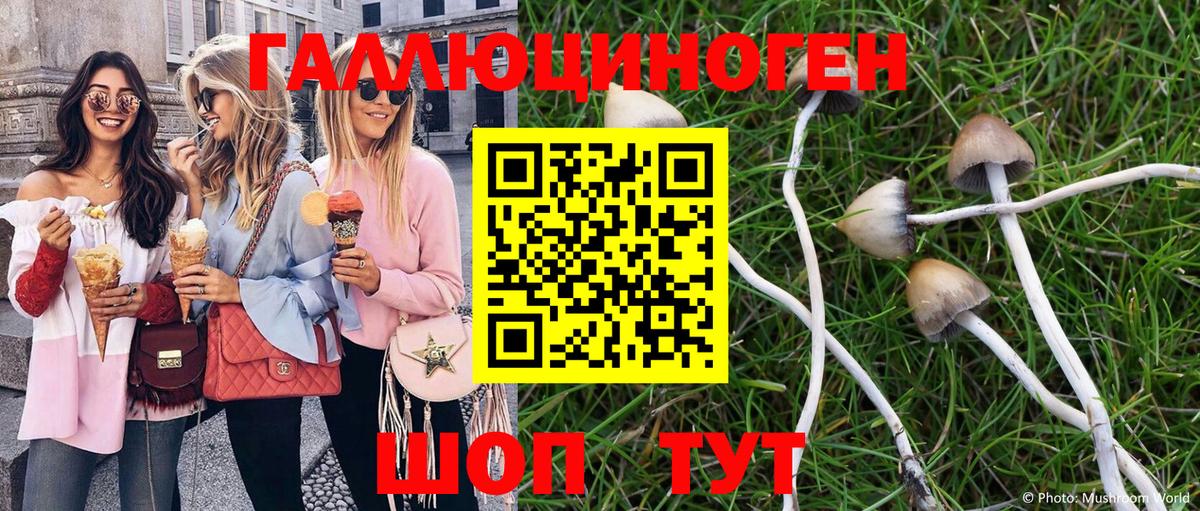 Галлюциногенные грибы Cubensis Елизово