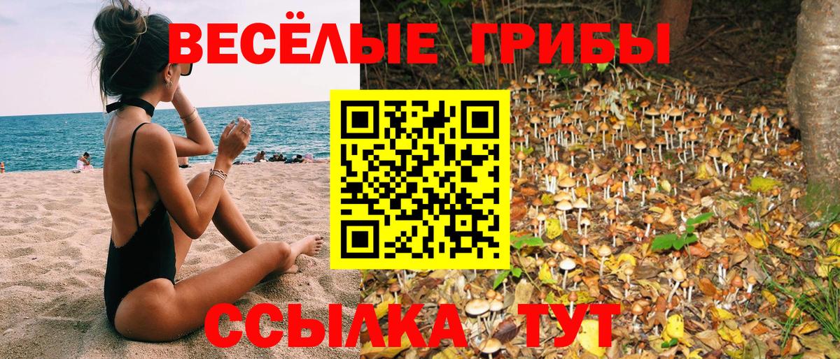 как найти наркотики  Псилоцибиновые грибы Psilocybe  Вход с VPN  Елизово 